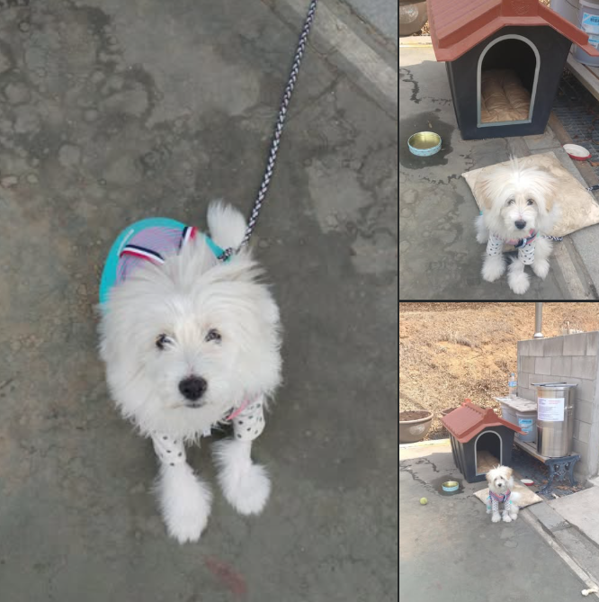 스크린샷 2025-06-24 131653.png