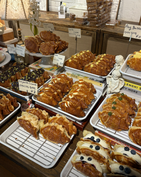 스크린샷 2025-11-27 220544.png