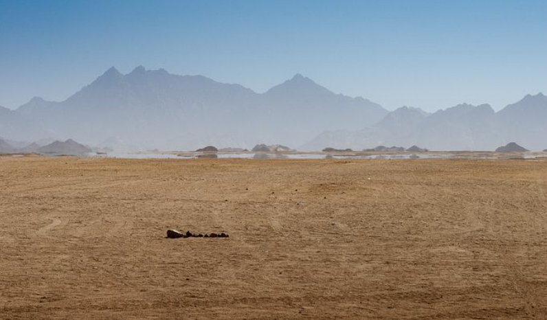 Screenshot 2023-02-08 at 9.21.25 AM.png