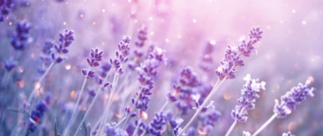 스크린샷 2024-01-06 오후 7.39.34.png