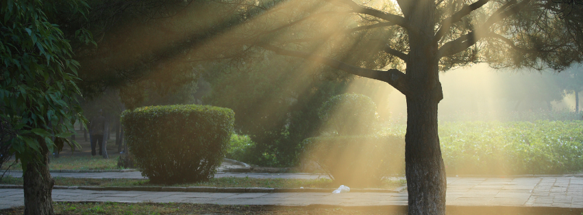 제목 없는 디자인 (16).png