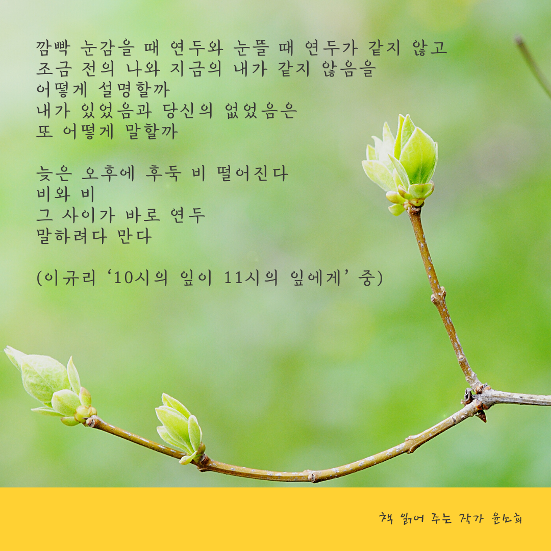 이규리 1.png