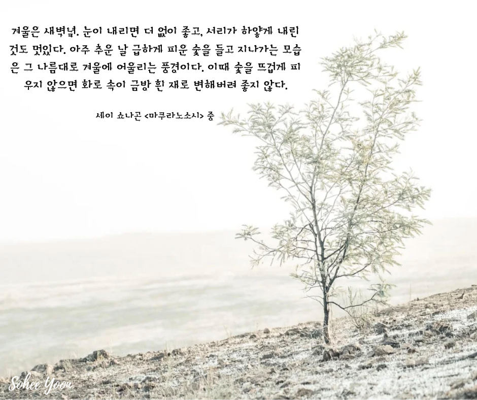 마쿠라노소시 4.png