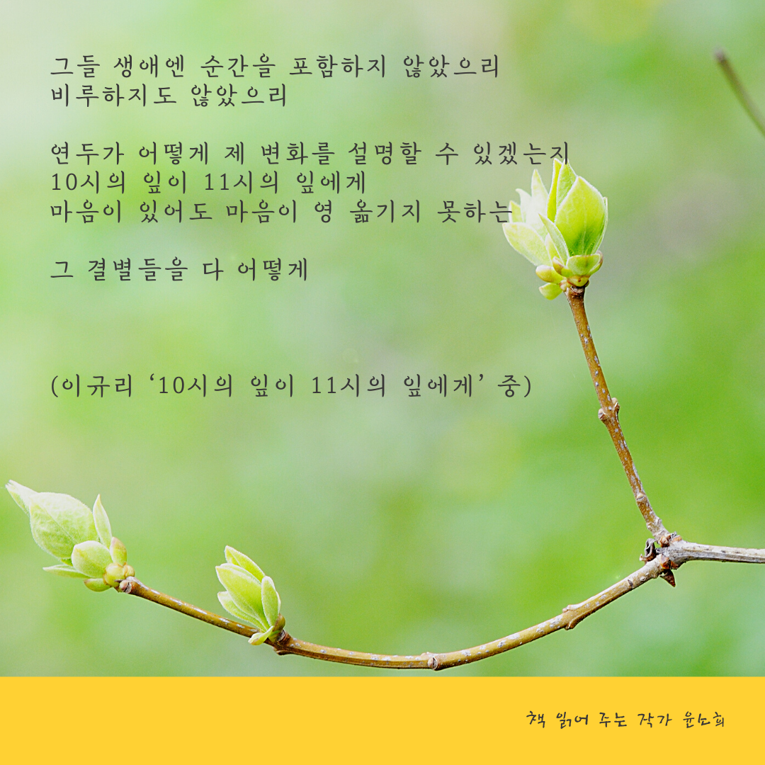 이규리 3.png