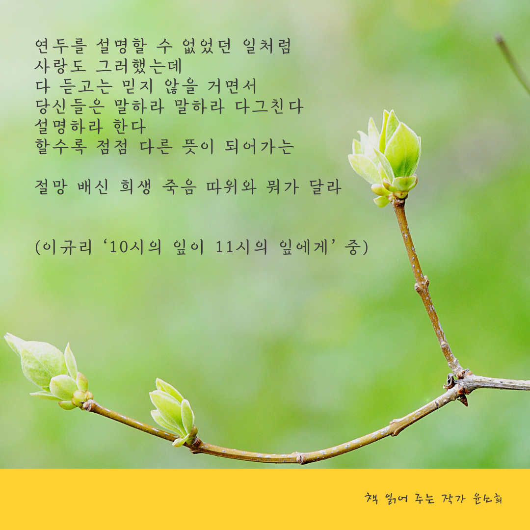 이규리 2.png