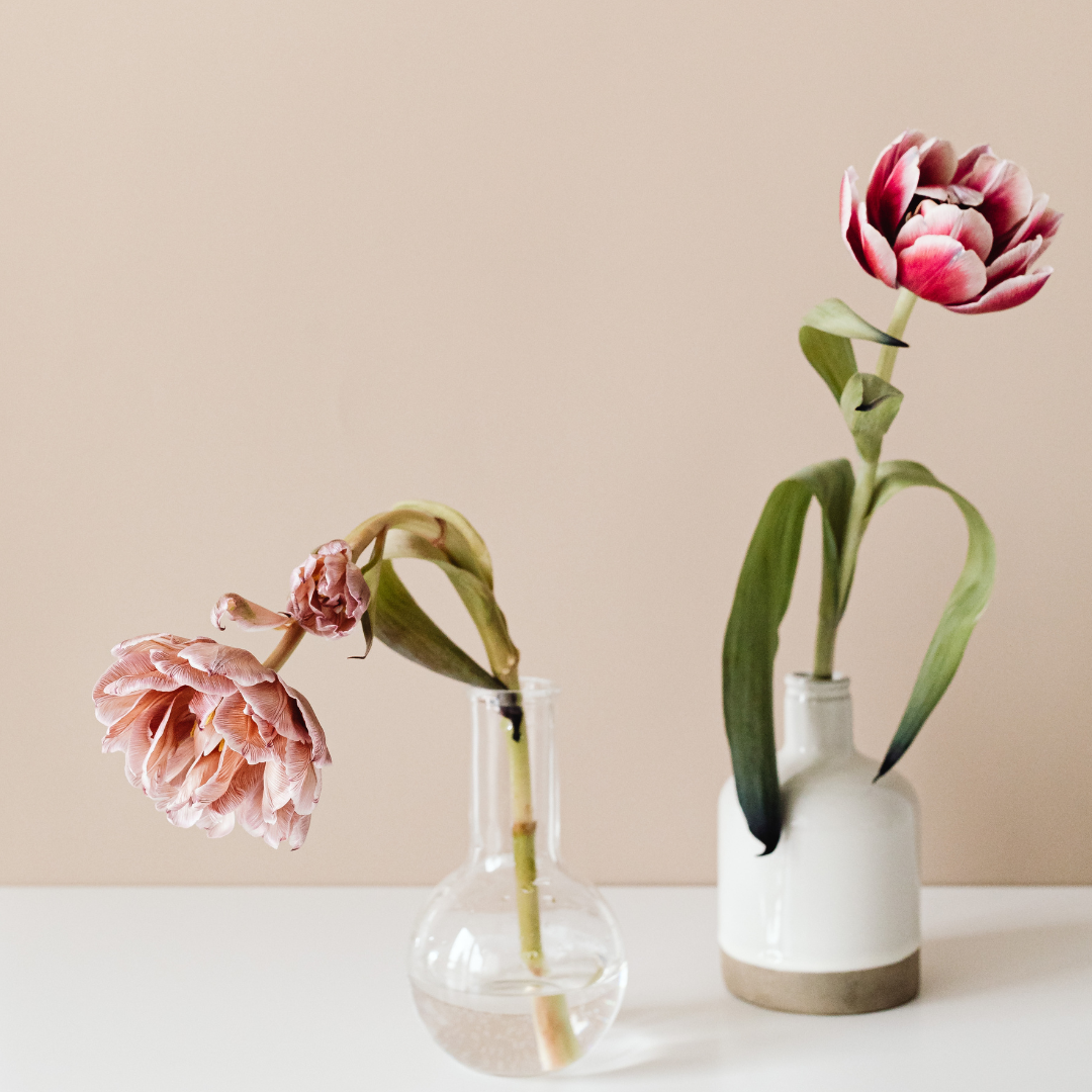 시든 꽃.png