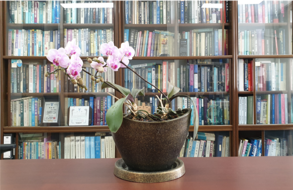 스크린샷 2024-04-25 185653.png