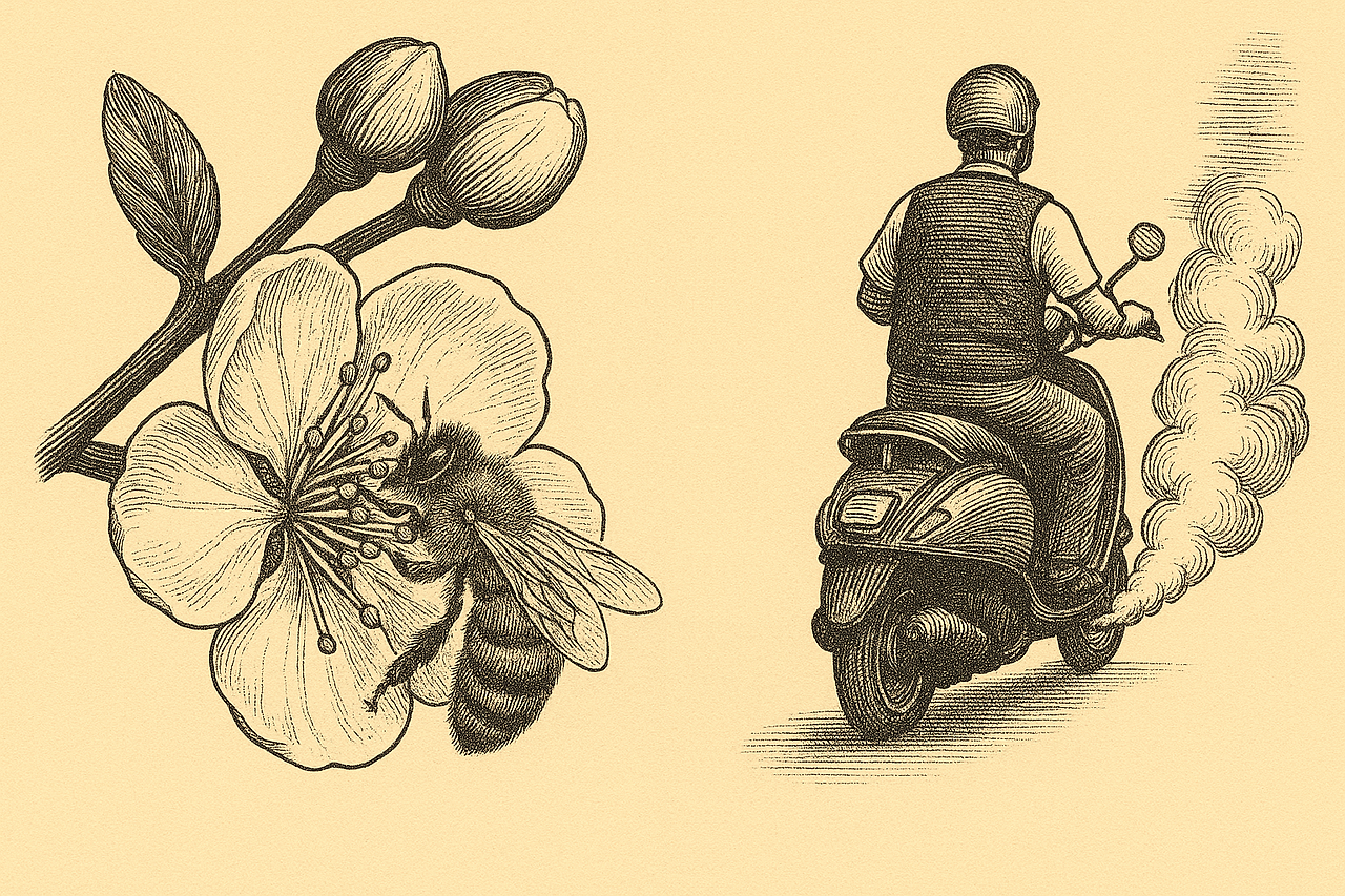 참고 이미지_0026.png