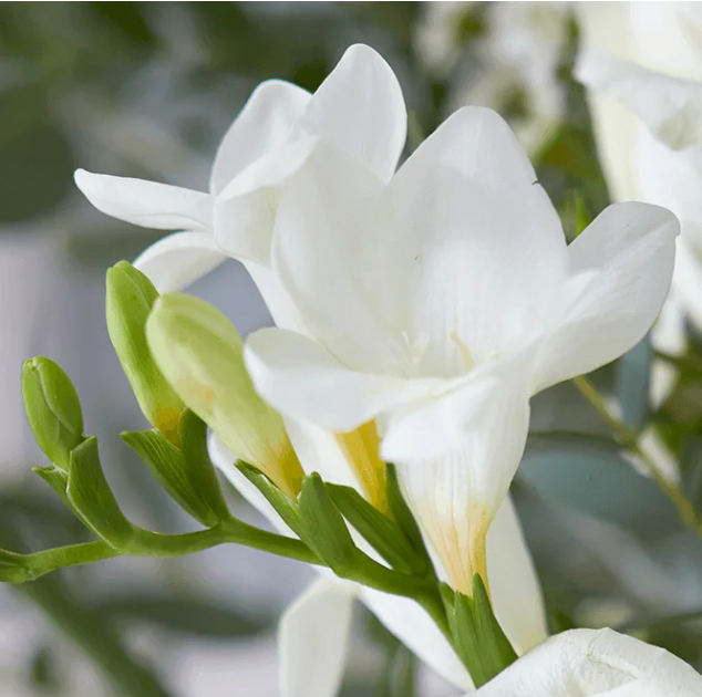 화면 캡처 2025-05-13 181919.png