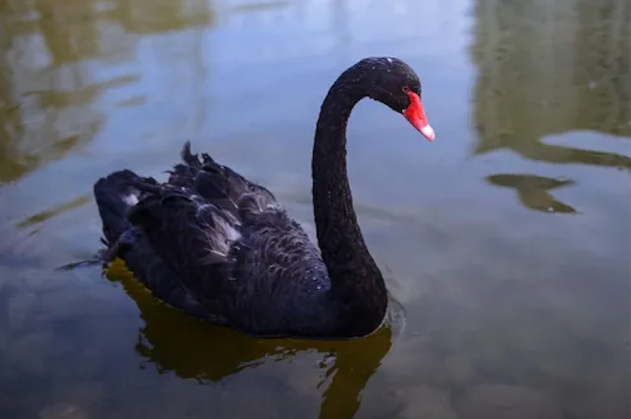 스크린샷 2025-11-01 오후 5.44.07.png