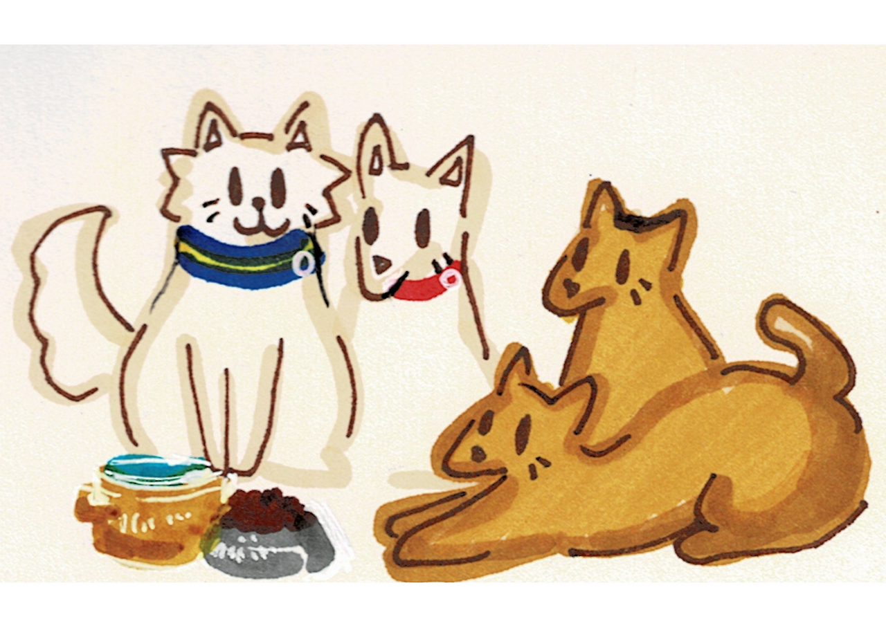 제목 없는 디자인 (36).png