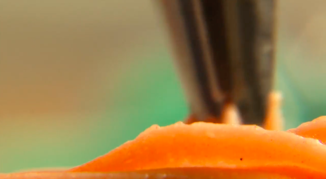 스크린샷 2021-02-23 오후 5.13.34.png