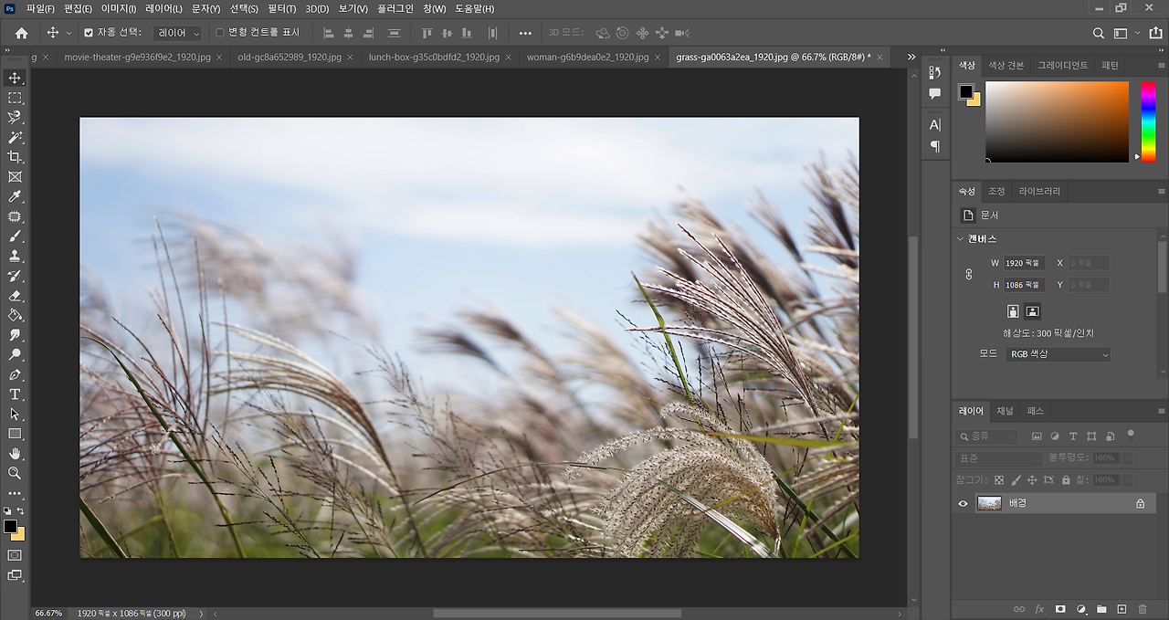 사진 편집중.png