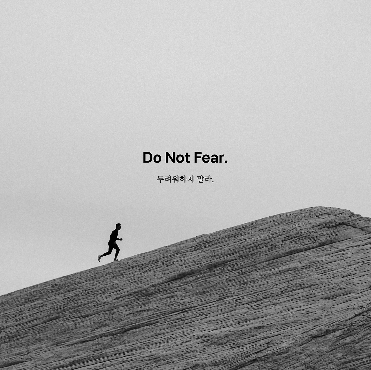 파타고니아 슬로건 4.png