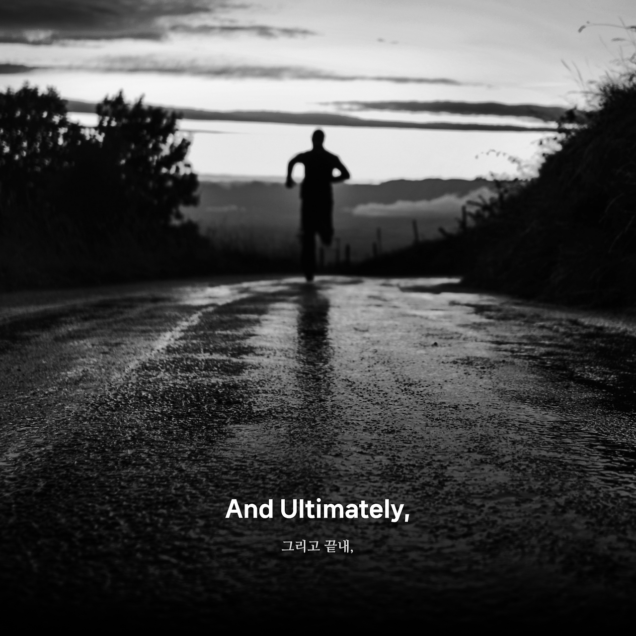 파타고니아 슬로건 7.png