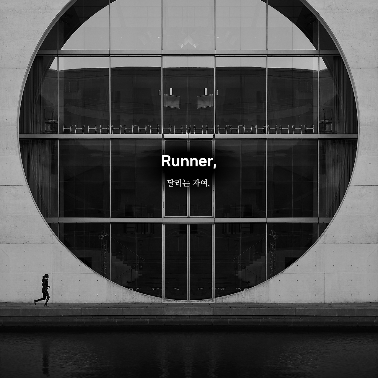 파타고니아 슬로건 3.png