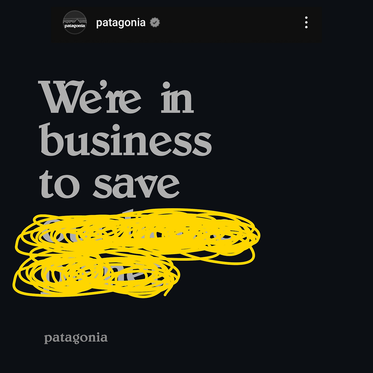 파타고니아 슬로건 2.png