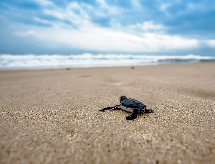 스크린샷 2024-05-16 123814.png