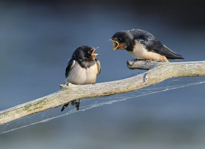 스크린샷 2024-03-08 104057.png