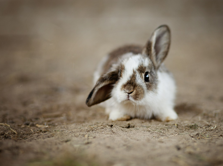 스크린샷 2024-02-16 145713.png