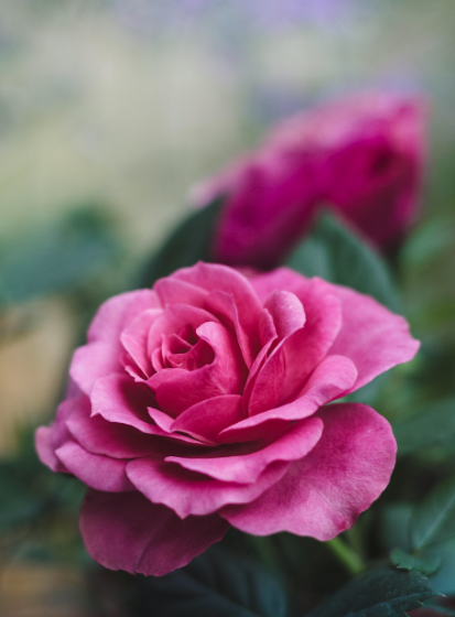 스크린샷 2025-08-29 102438.png