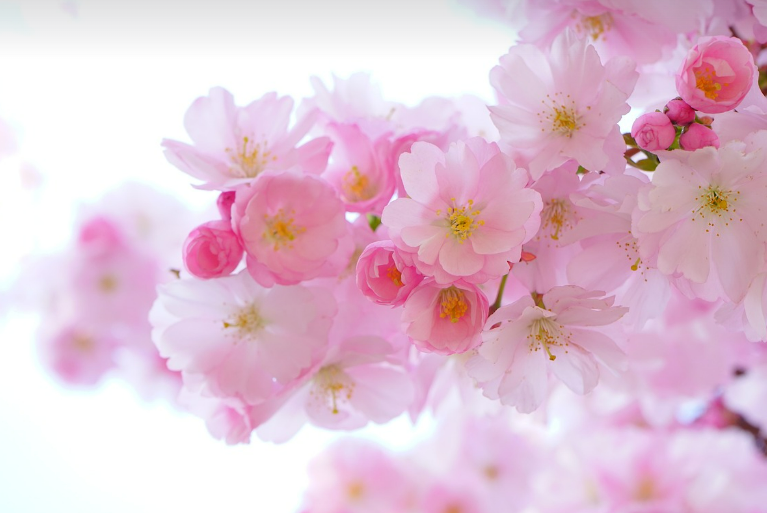 스크린샷 2024-03-08 104800.png