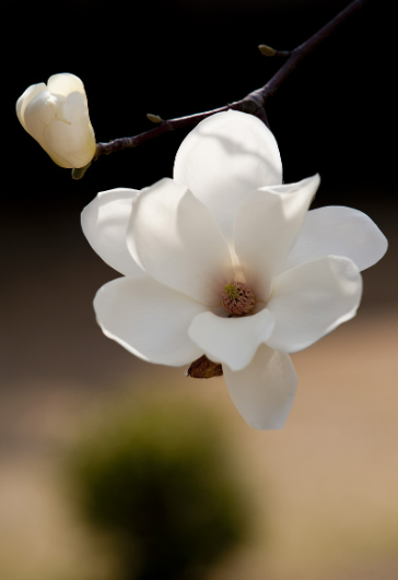 스크린샷 2024-06-19 162453.png