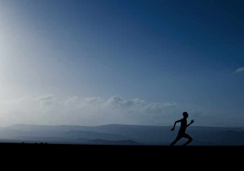 스크린샷 2024-11-23 083342.png