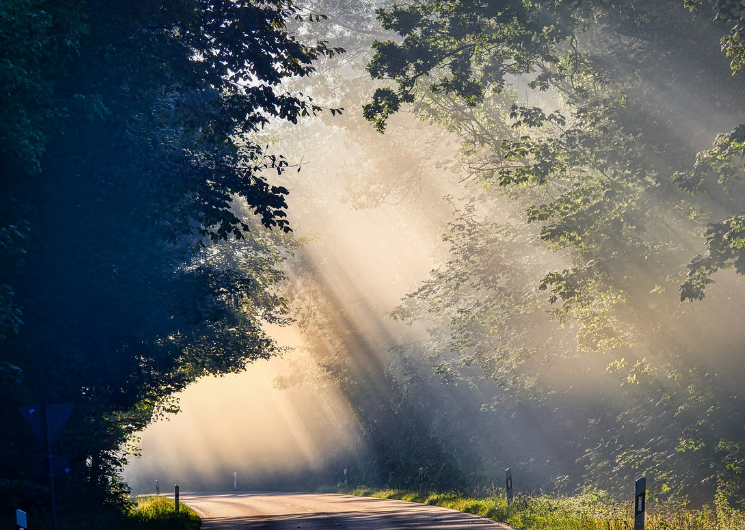 스크린샷 2024-05-29 125648.png