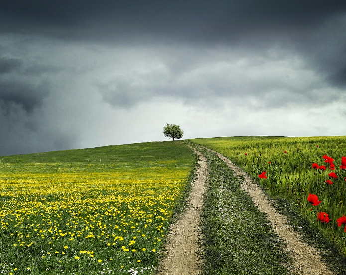 스크린샷 2024-07-09 220447.png