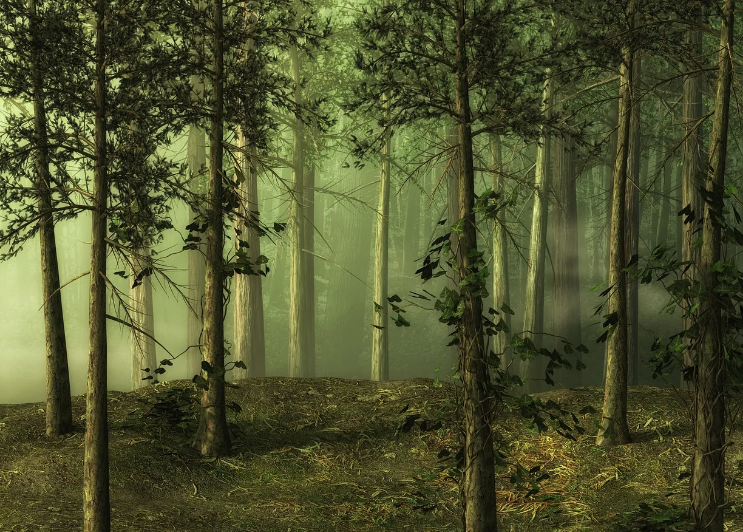 스크린샷 2024-02-01 014230.png