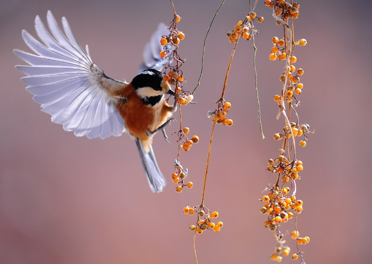 스크린샷 2024-09-09 064140.png