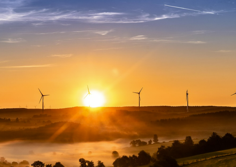 스크린샷 2025-08-21 115434.png