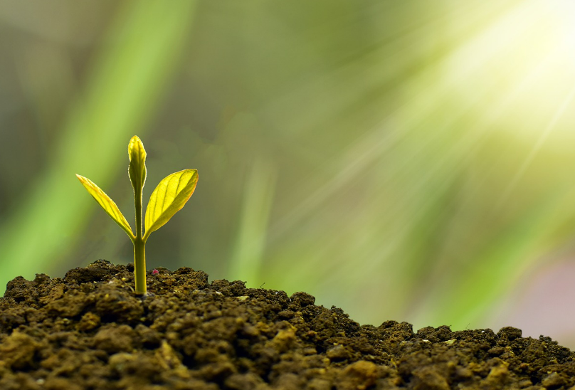 스크린샷 2024-06-24 133146.png