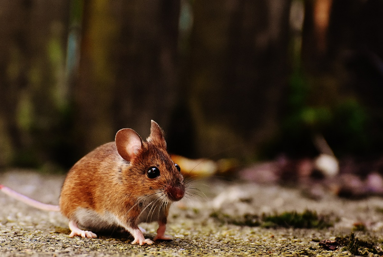 스크린샷 2024-09-09 061729.png