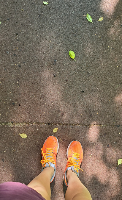 스크린샷 2024-07-01 222020.png