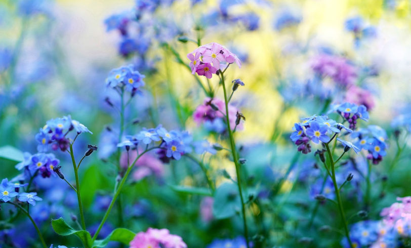 스크린샷 2024-06-19 162209.png