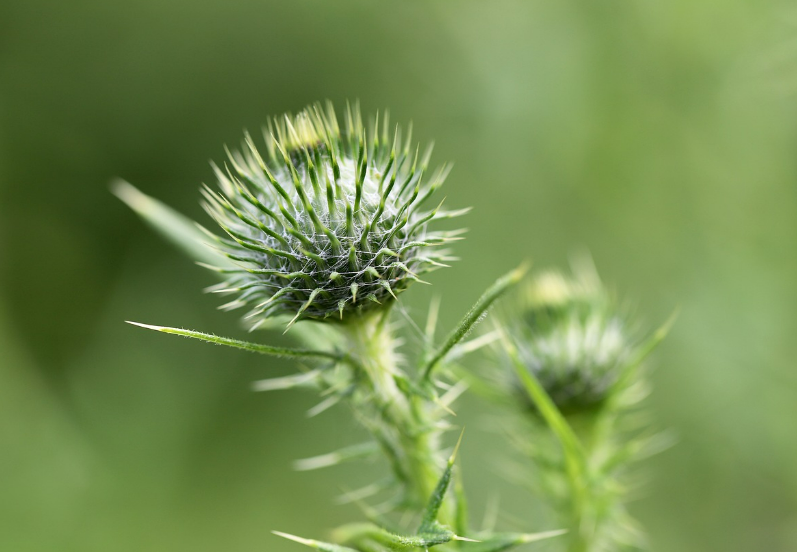 스크린샷 2024-05-14 115810.png