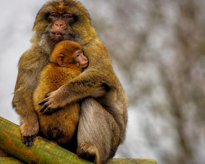 스크린샷 2024-03-06 073323.png