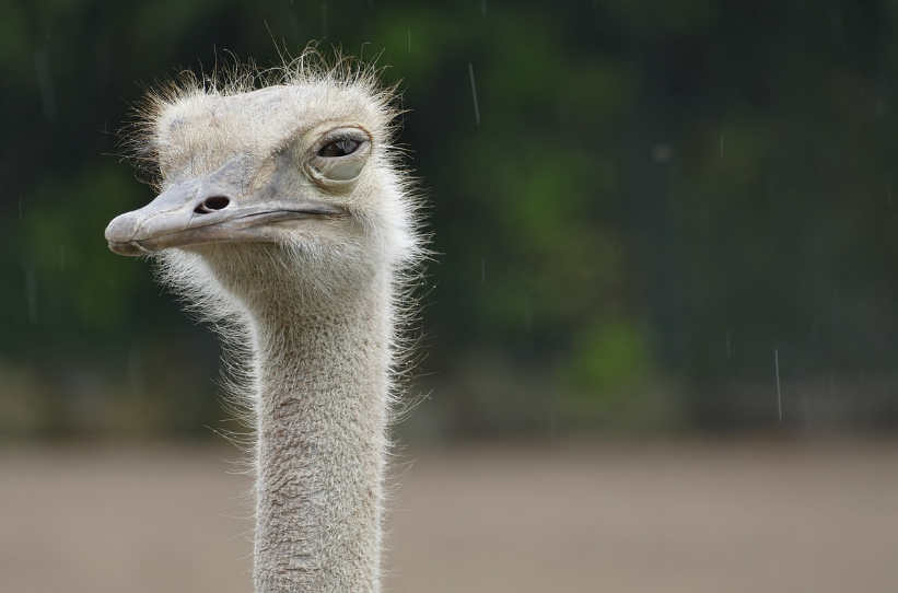 스크린샷 2024-06-25 113535.png