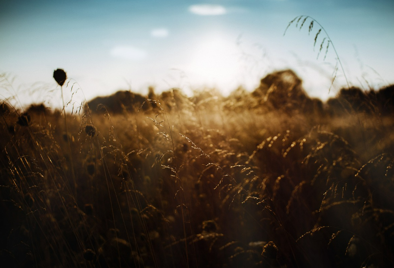 스크린샷 2024-05-29 124139.png