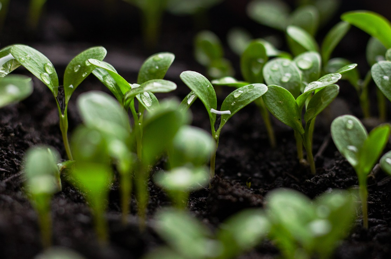 스크린샷 2024-07-08 223059.png