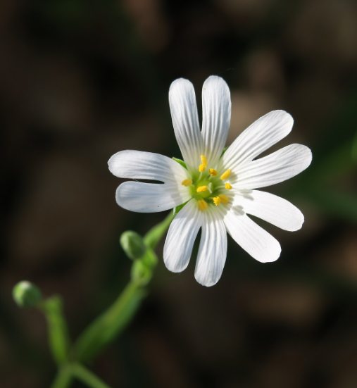 스크린샷 2024-07-04 200005.png