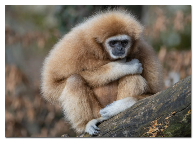 스크린샷 2024-06-17 141702.png