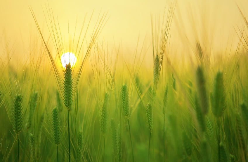 스크린샷 2024-02-05 220440.png