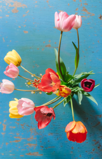 스크린샷 2023-09-20 223831.png