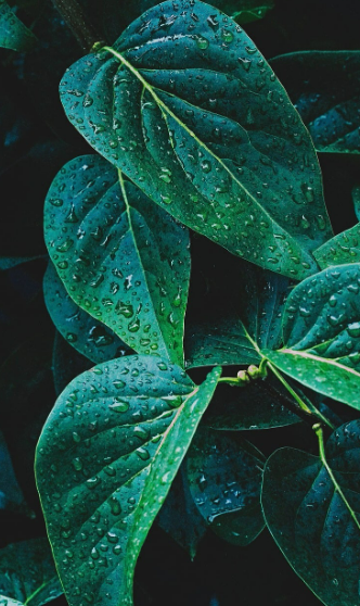 스크린샷 2024-05-14 115108.png