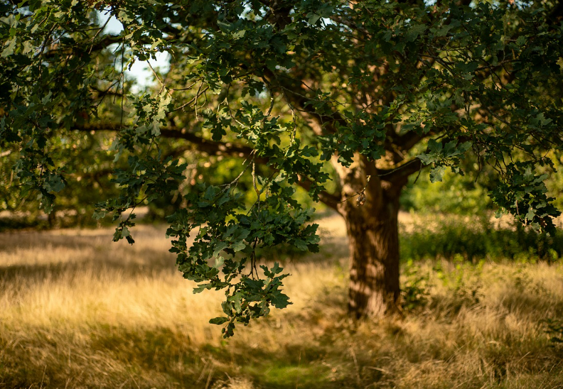 스크린샷 2024-06-26 154240.png