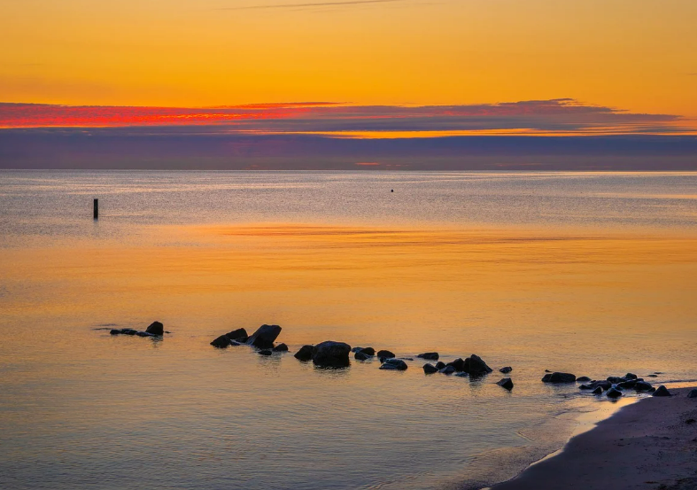 스크린샷 2024-06-24 133513.png