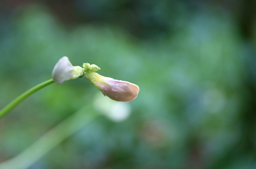 스크린샷 2024-06-18 152802.png